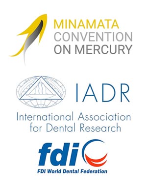 minamata, iadr, fdi